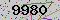 有驗證字元的圖片