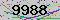 有驗證字元的圖片