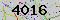 有驗證字元的圖片