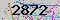 有驗證字元的圖片