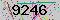 有驗證字元的圖片