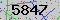 有驗證字元的圖片
