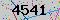 有驗證字元的圖片